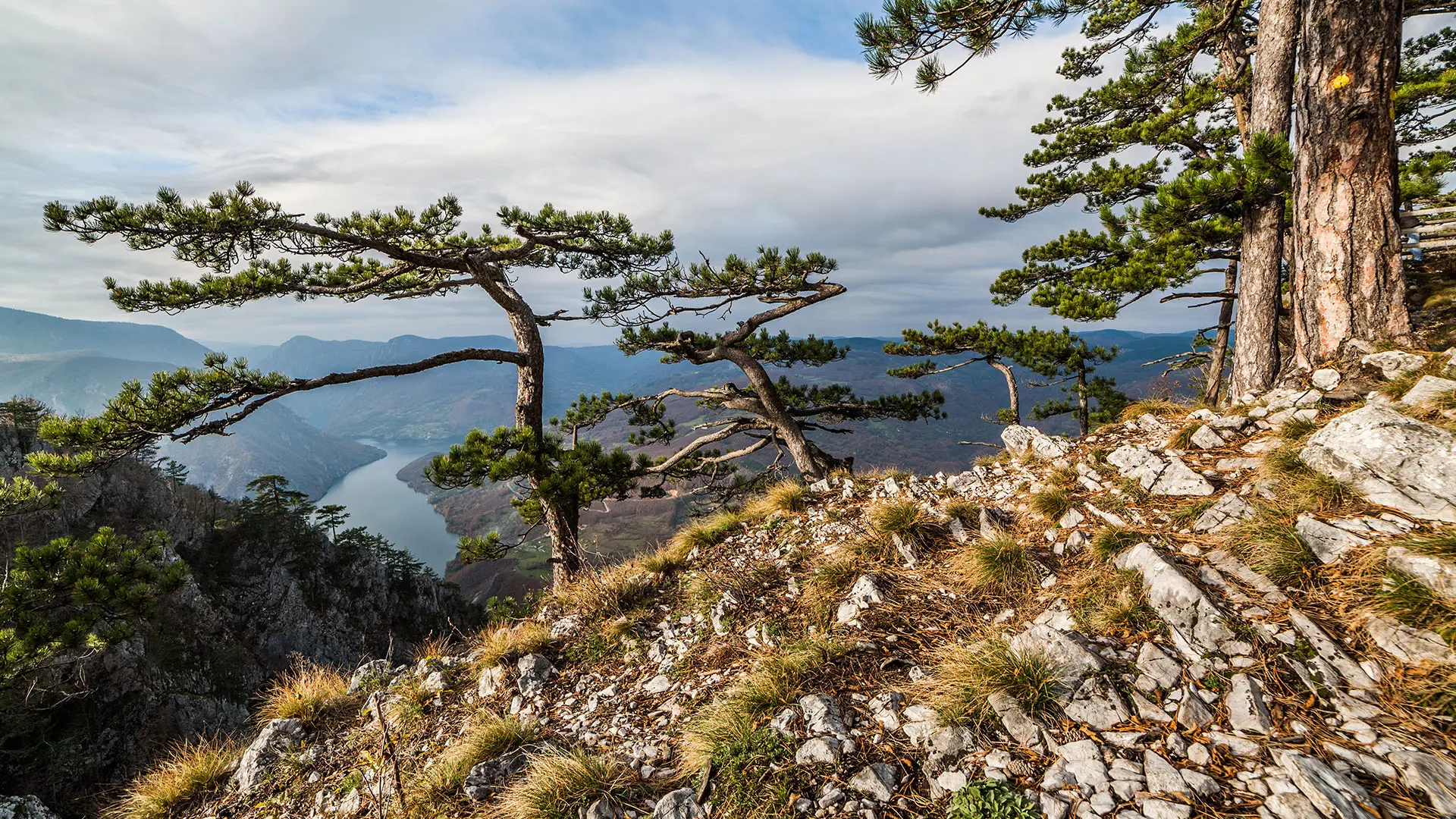 Odmor i putovanja